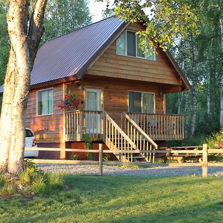 Susitna River Lodging, Riverside Cabins Talkeetna Extérieur photo