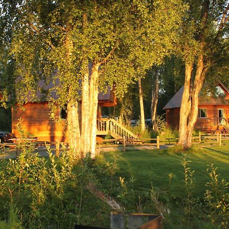 Susitna River Lodging, Riverside Cabins Talkeetna Extérieur photo