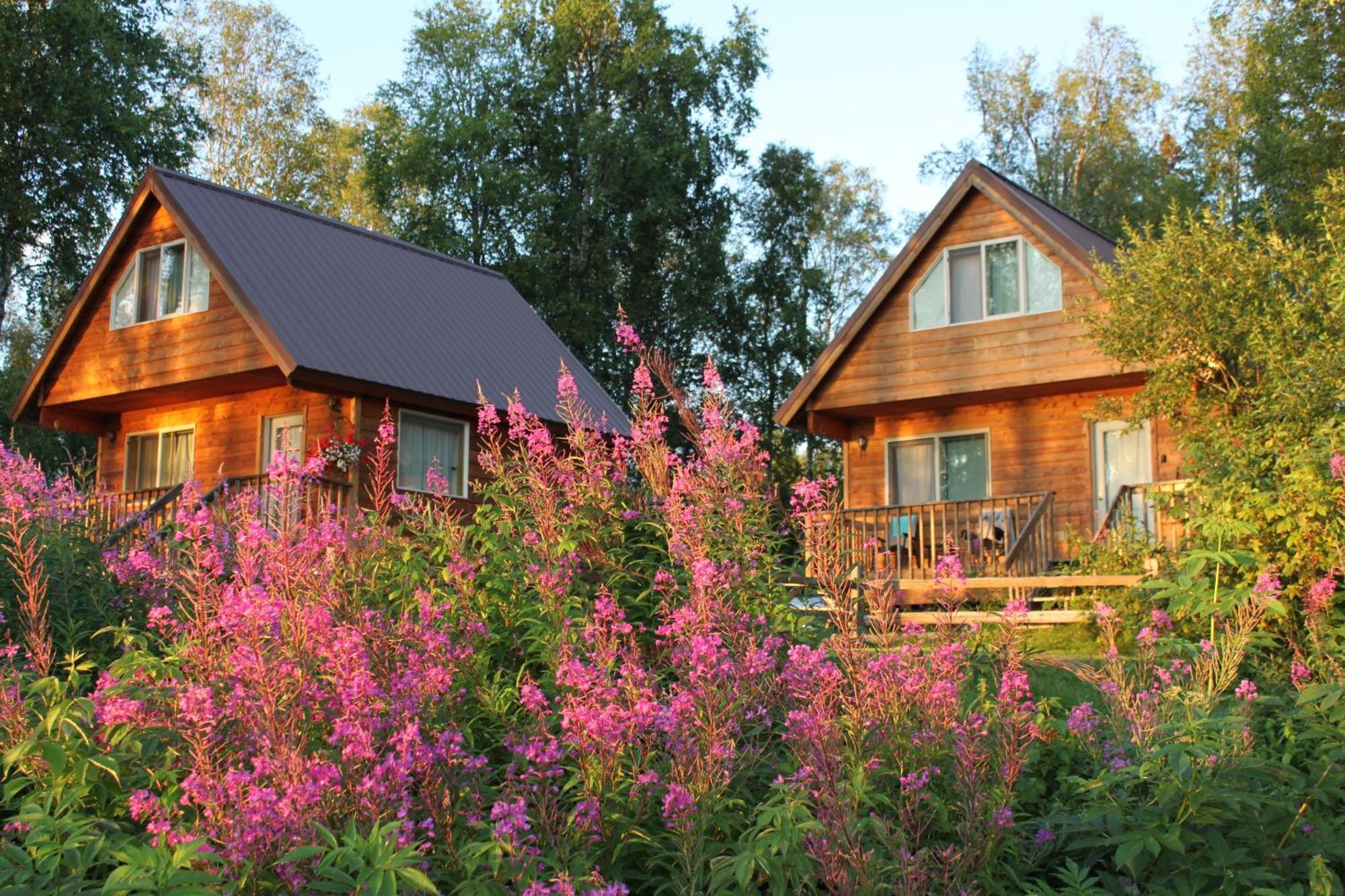 Susitna River Lodging, Riverside Cabins Talkeetna Extérieur photo