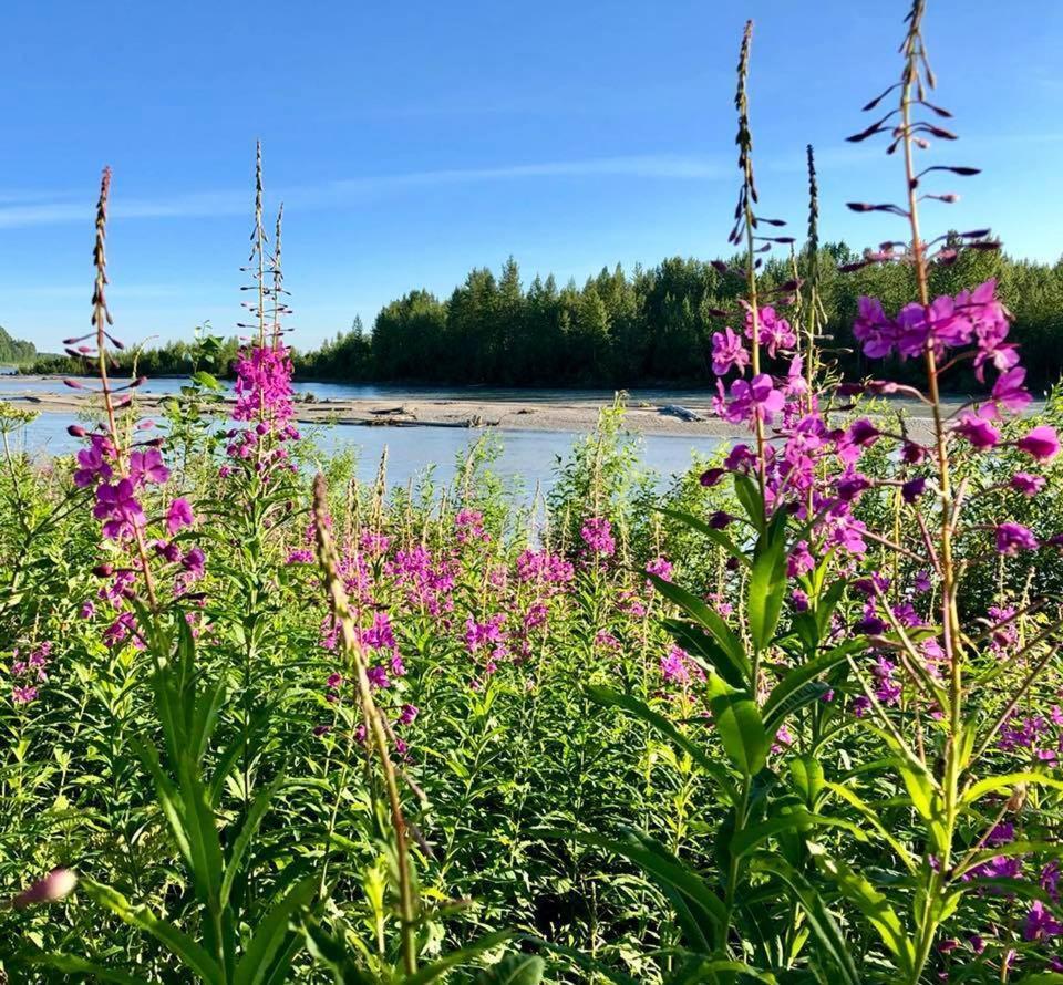 Susitna River Lodging, Riverside Cabins Talkeetna Extérieur photo
