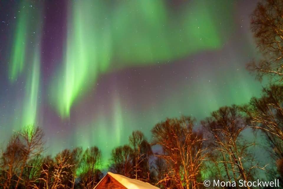 Susitna River Lodging, Riverside Cabins Talkeetna Extérieur photo