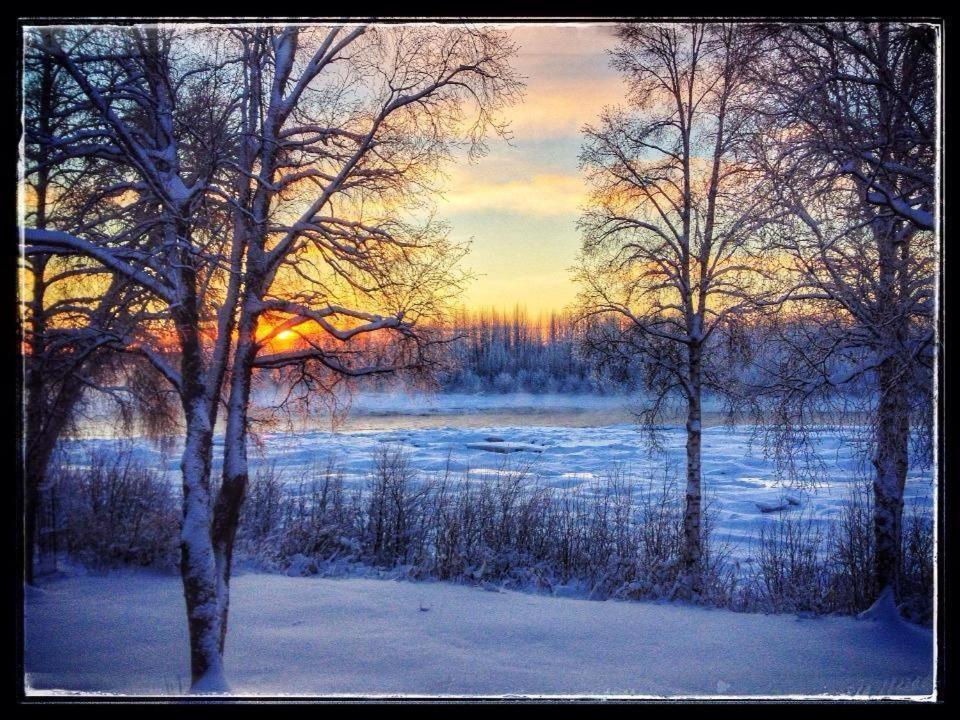 Susitna River Lodging, Riverside Cabins Talkeetna Extérieur photo